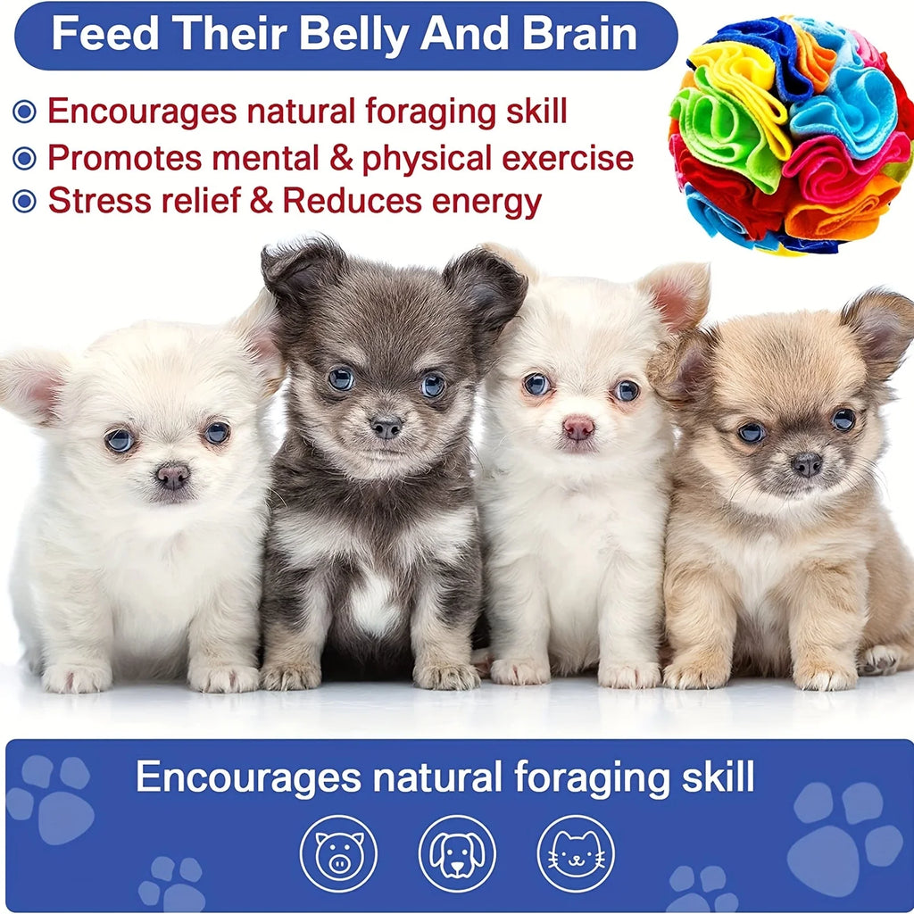 Enrichment Puzzle Ball — Rolling Treat Dispenser That Beats Boredom