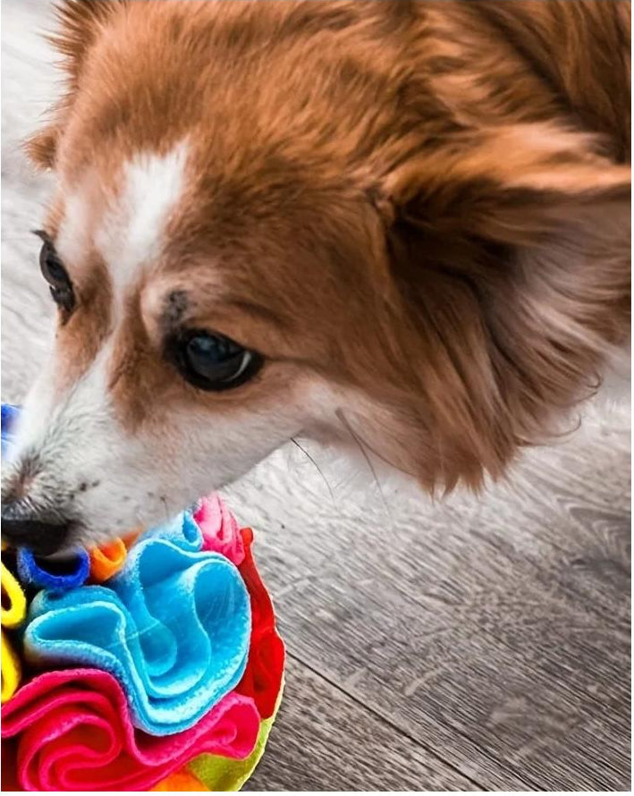 Snuffle Ball — Hide-and-Seek Foraging Toy